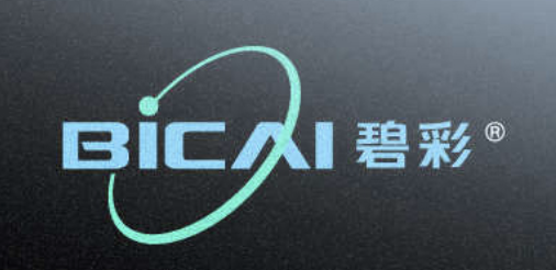 博革為寧波碧彩實業提供5S、精益工廠布局等咨詢服務